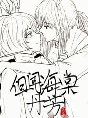 每日大赛在线免费观看